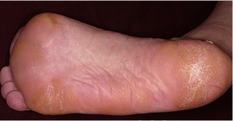 изображение_viber_2025-06-24_14-20-48-130